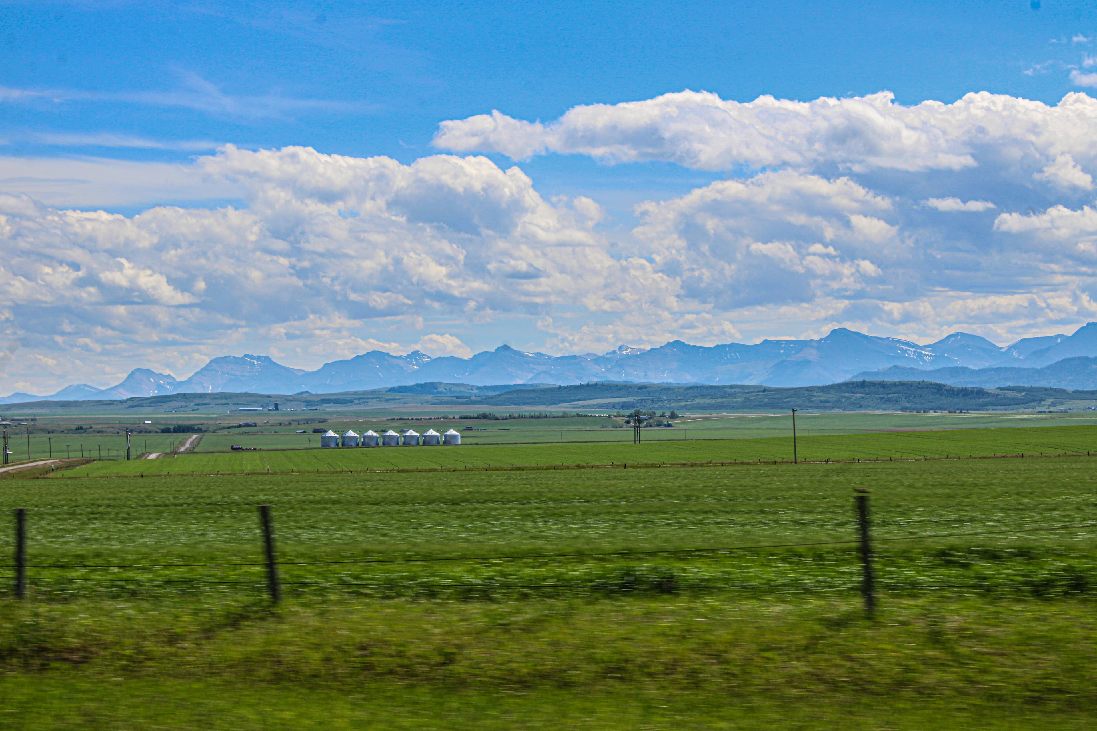 Alberta landscape
